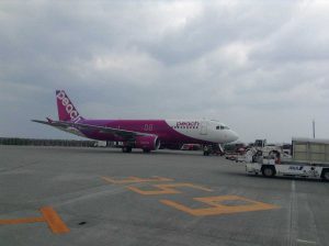 那覇と関空を結ぶLCC:ピーチ・アビエーション