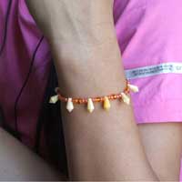 �o���h�u���X���b�g�E���`�r�[�Y