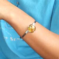 �o���O���E�A���p�J�V���o�[�E�T�[�N���O���X