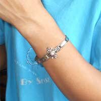 �o���O���E�A���p�J�V���o�[�E�X�g�[��[��]