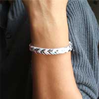 �o���O���E�v���X�`�b�N�E�i���[