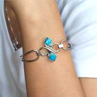 �o���O���E�A���p�J�V���o�[�E�v���V���X�X�g�[��