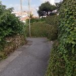 スージグヮー