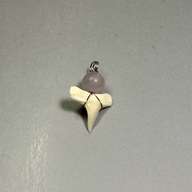 商品番号(PTS095):ペンダントトップ・ナチュラル・サメの歯[S]